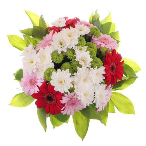 Come Around witth Dreams JMK Florist