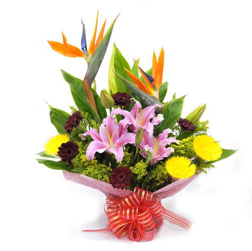 New World JMK Florist