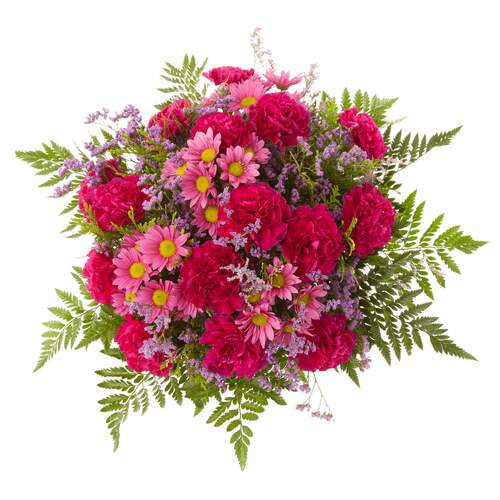 Celebration JMK Florist