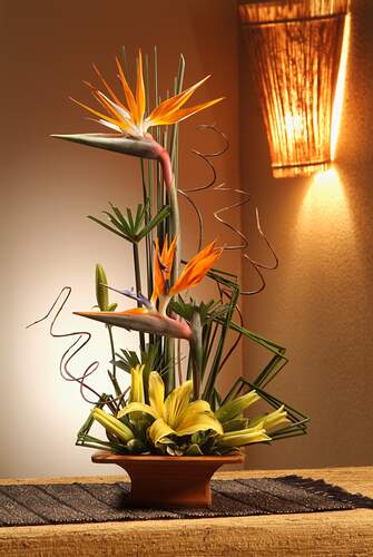 Pure Vision JMK Florist