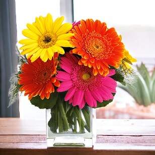 daisy bouquet