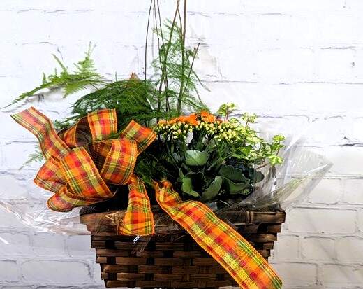 Fall arrangement YYC