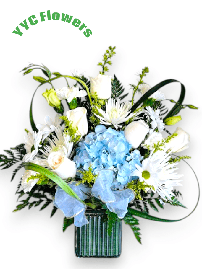 white and blue arrangement