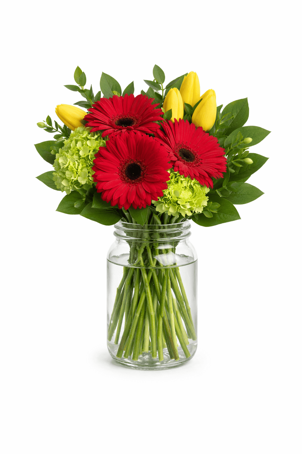 red gerbera