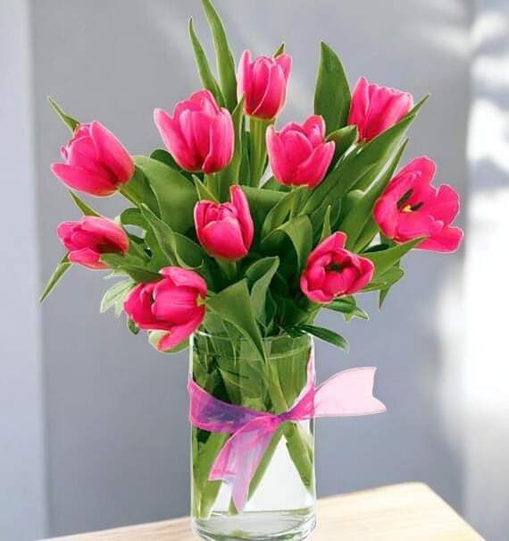 md125 roses