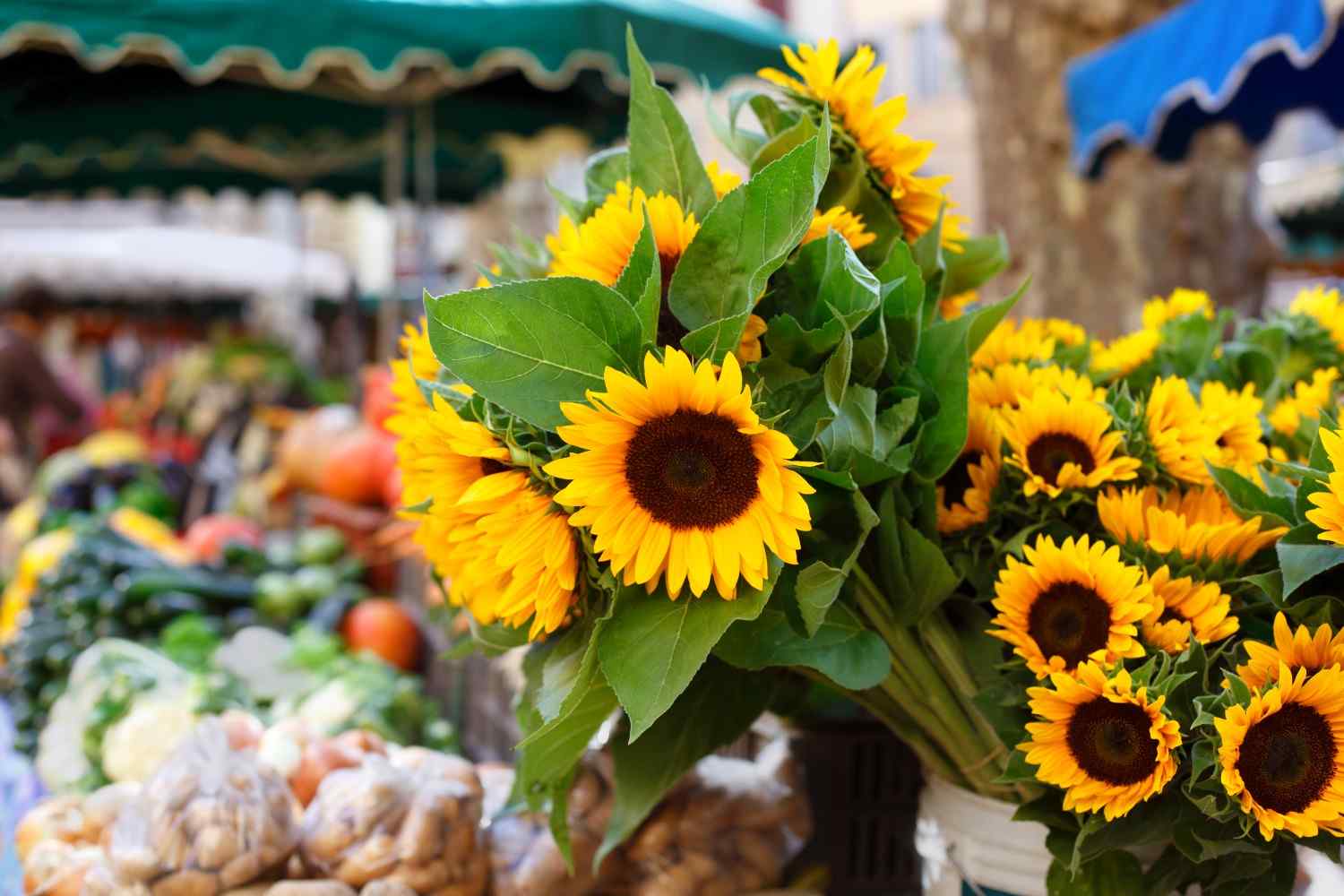 A couple of pretty sunflower bouquets for the summer vibes farmers market sunflowers (1)